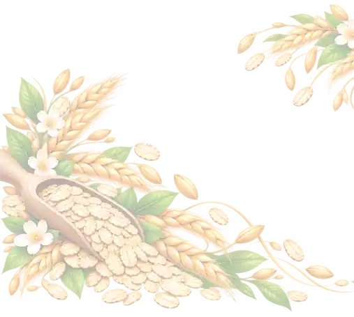 Header Shape One